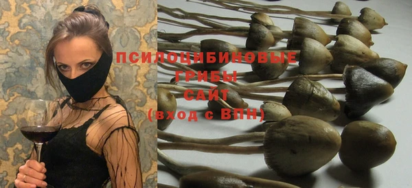 мескалин Абаза